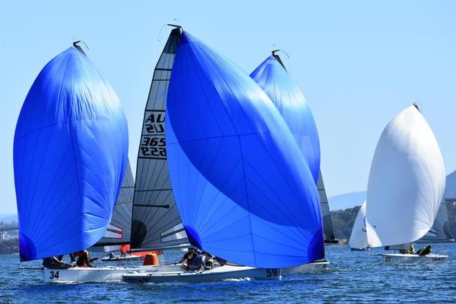 SB20 Tasmanian Championship © Jane Austin